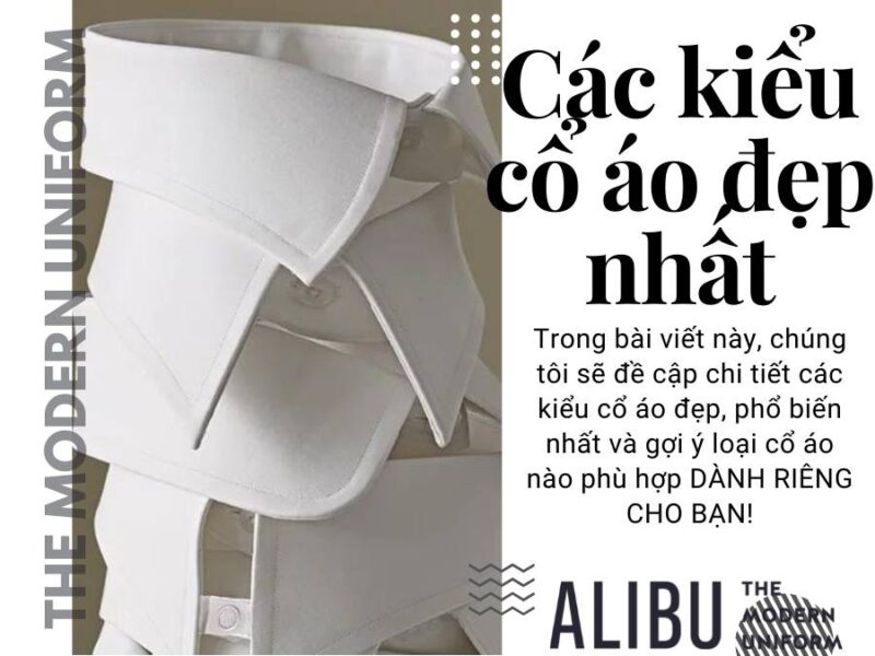 TOP 9 các kiểu cổ áo đẹp nhất 2022: Nên chọn loại nào? 1 Các kiểu cổ áo đẹp nhất và lựa chọn phù hợp dành riêng cho bạn Alibu