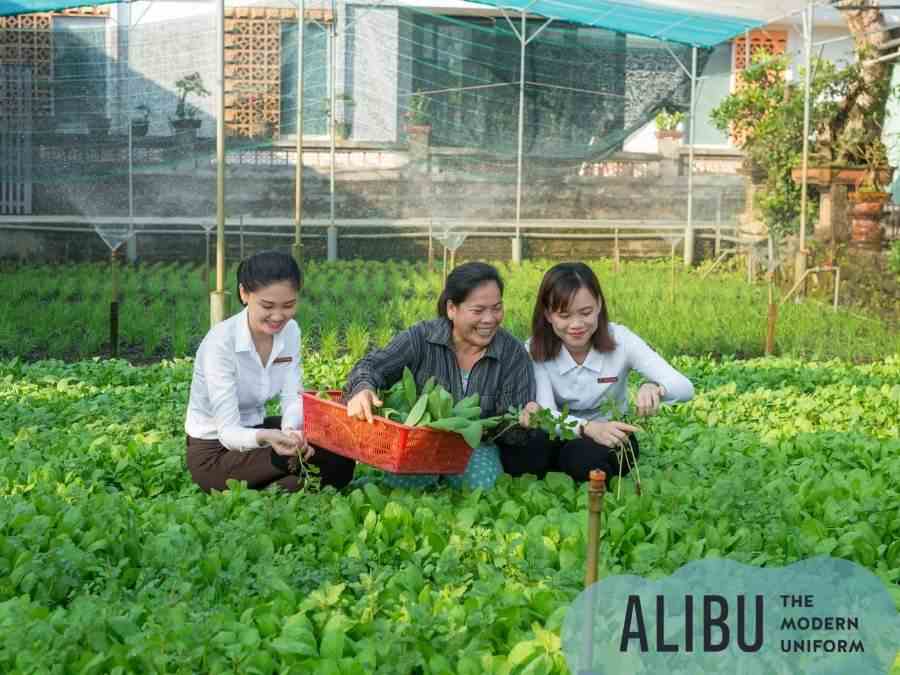 Đồng phục Agribank 2022: Hình ảnh cổ điển còn sót lại 17 Sơ mi đồng phục Agribank
